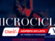 Hero banner featuring a male soccer player in a dark blue/red-lit scene with large white letters across the image and overlapping sponsor ribbons in red and white at the bottom.