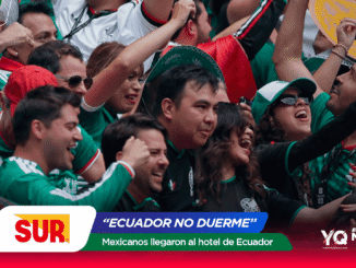 Energetic crowd of sports fans wearing green, cheering and raising their arms at a stadium; SUR logo and Ecuador banners visible at the bottom.