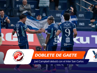 Blue-clad soccer players celebrate with a high-five on the pitch, banners and crowd in the background