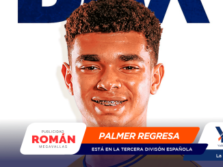 Close-up of a smiling young man with braces, overlaid by an orange Palmer Regresa banner and sponsor logos.