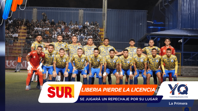 Soccer team in yellow-blue patterned uniforms posing for a group photo on the field with spectators in the stands behind them.